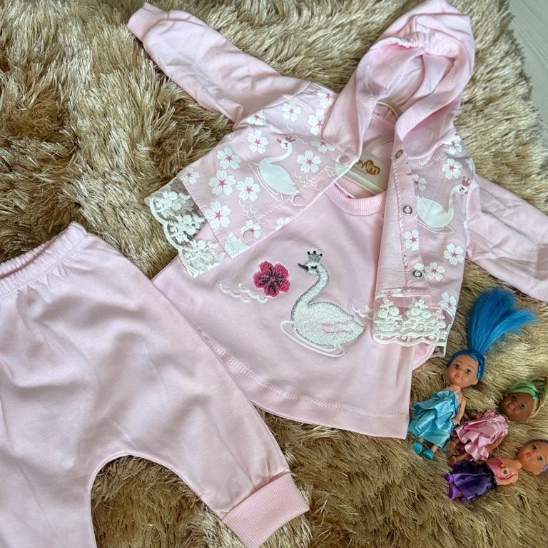 Babyim (0-9 Ay) Kız Bebek Kapüşonlu Üçlü Takım
